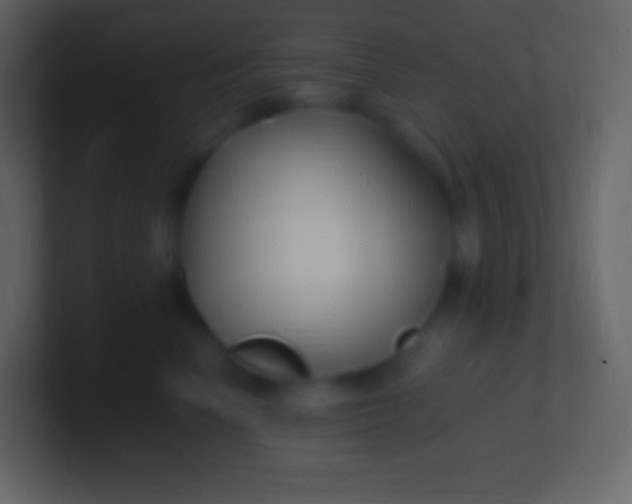 X0000100940666200807081236