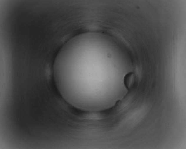 X0000100940668200807081236