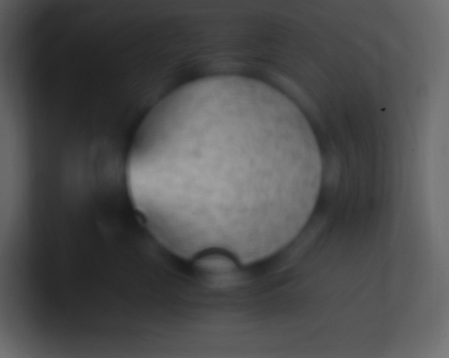 X0000100940669200807081236