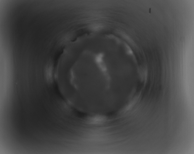 X0000100940670200807081236