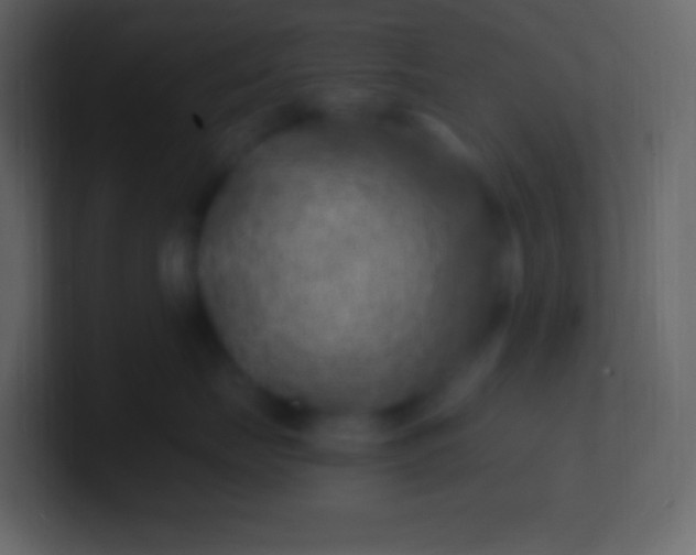 X0000100940671200807081236