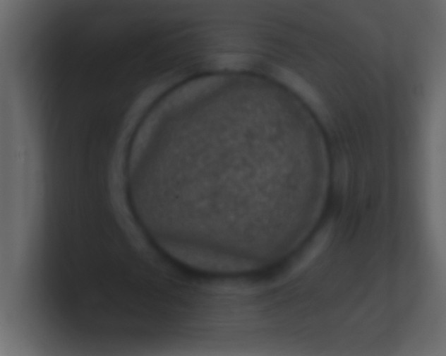 X0000100940673200807081235