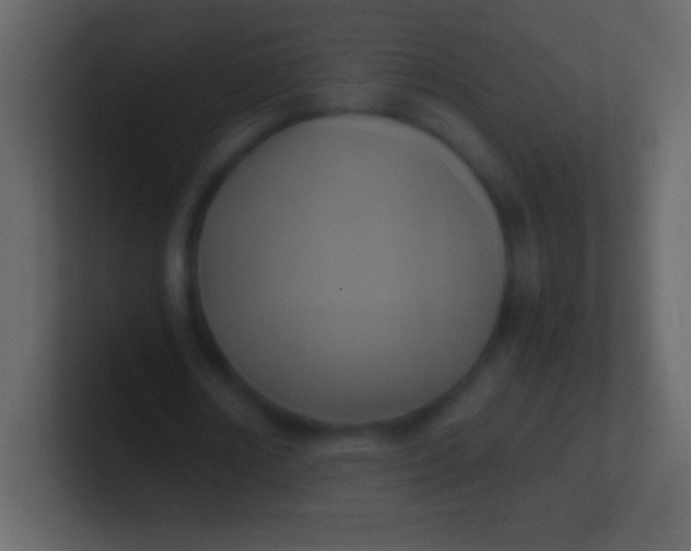 X0000100940674200807081235