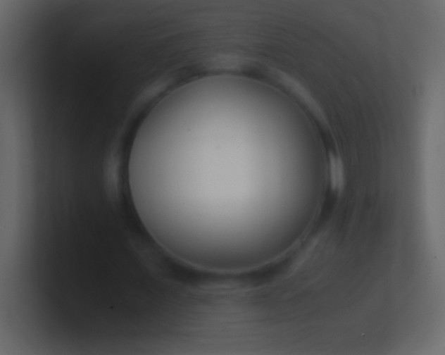 X0000100940675200807081235