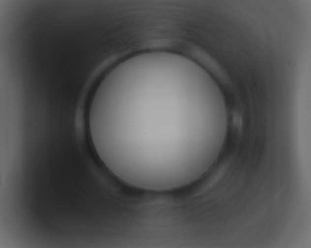 X0000100940676200807081235