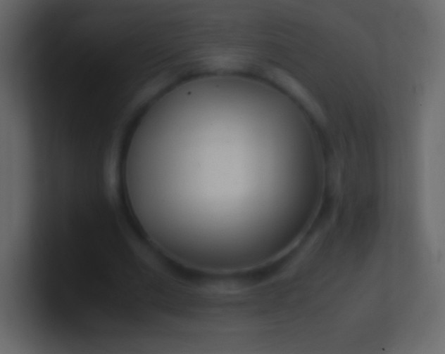 X0000100940677200807081235