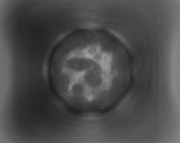 X0000100940679200807081235