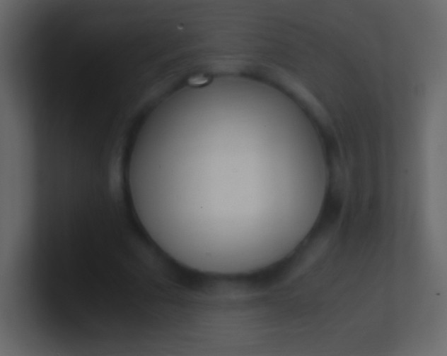 X0000100940681200807081235