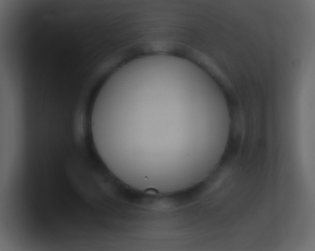 X0000100940683200807081235