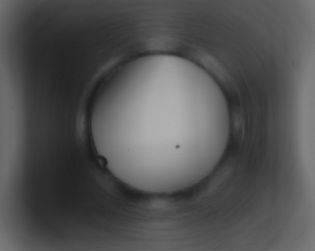 X0000100940684200807081235