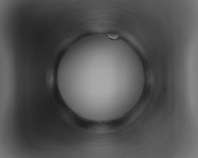 X0000100940685200807081235