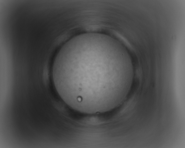 X0000100940687200807081235