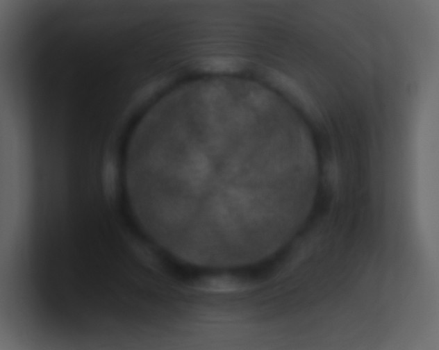 X0000100940688200807081235