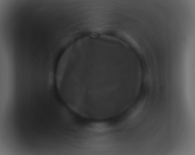 X0000100940689200807081235