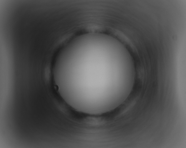 X0000100940690200807081235