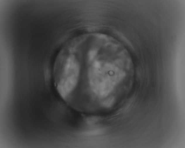 X0000100940691200807081235