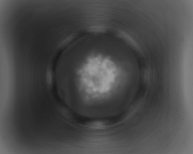 X0000100940692200807081235