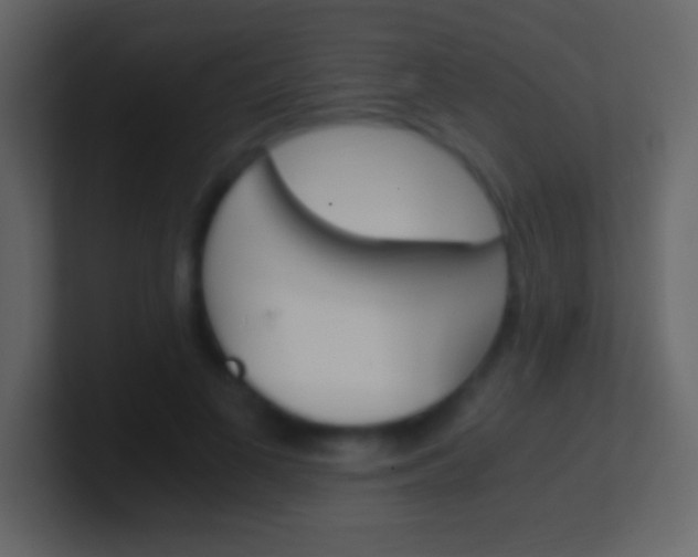 X0000100940693200807081235