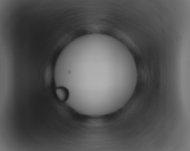 X0000100940694200807081235