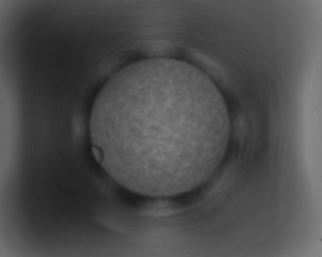 X0000100940695200807081235