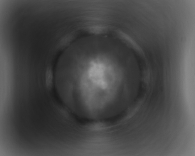 X0000100940696200807081235