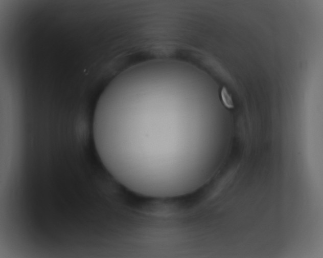 X0000100940697200807081235