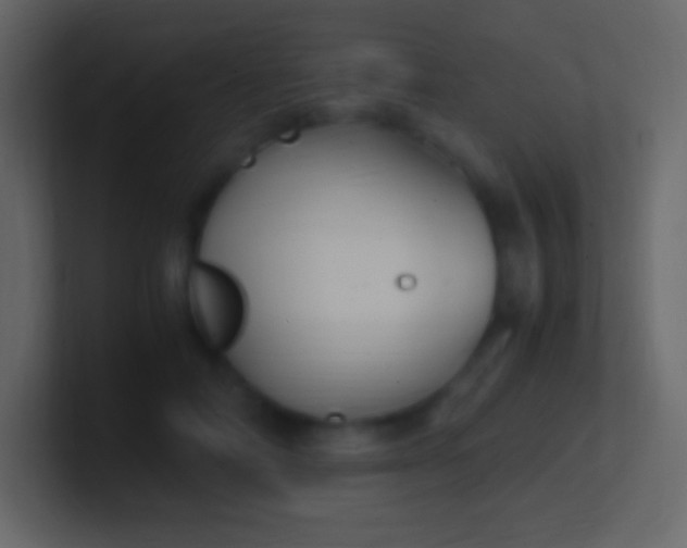 X0000100940698200807081235