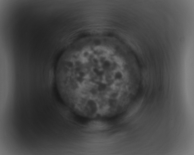 X0000100940699200807081235