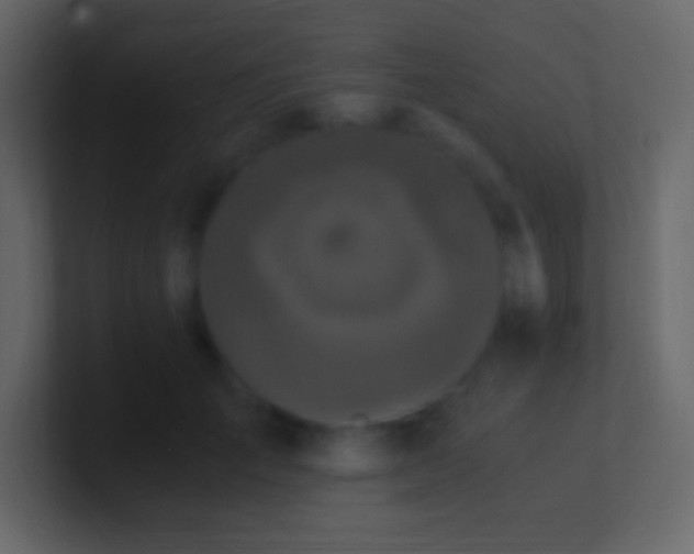 X0000100940701200807081235