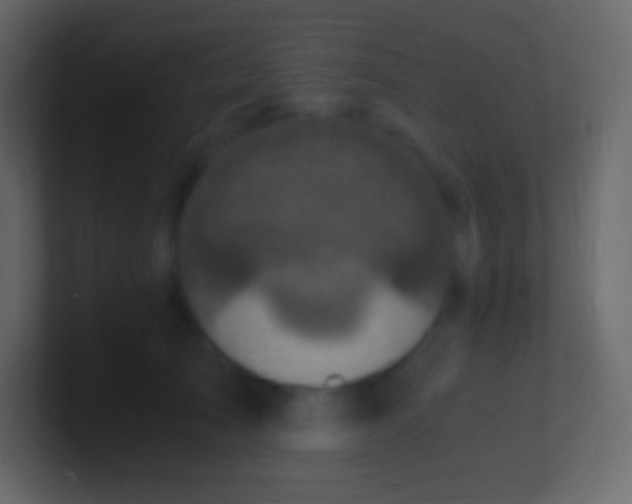 X0000100940705200807081235