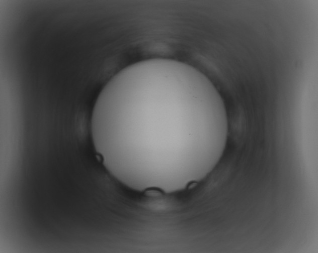 X0000100940708200807081235