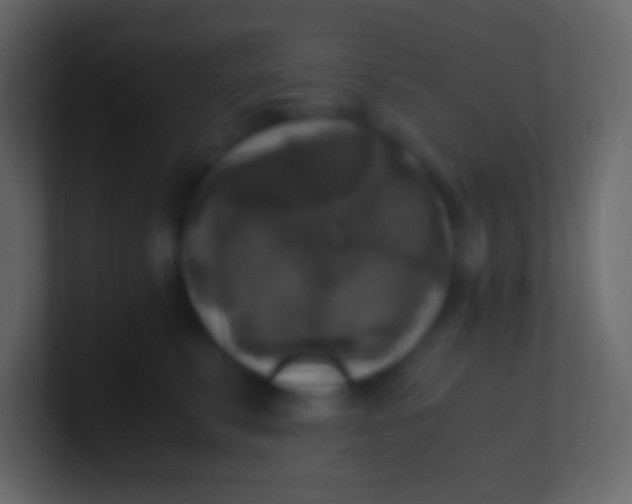 X0000100940711200807081235