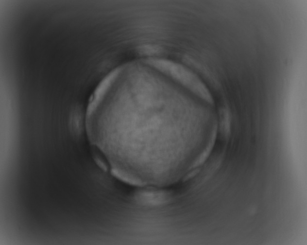 X0000100940712200807081235