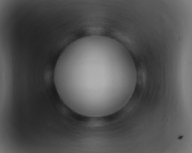 X0000100940714200807081235