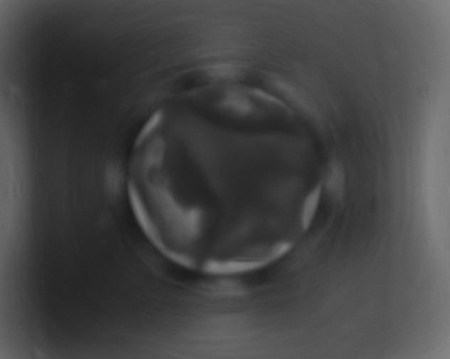 X0000100940715200807081235