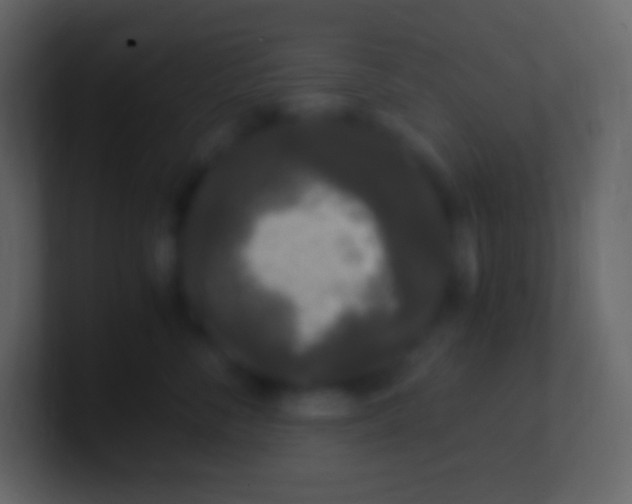 X0000100940716200807081235