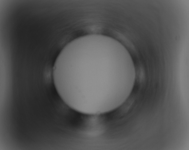 X0000100940717200807081235