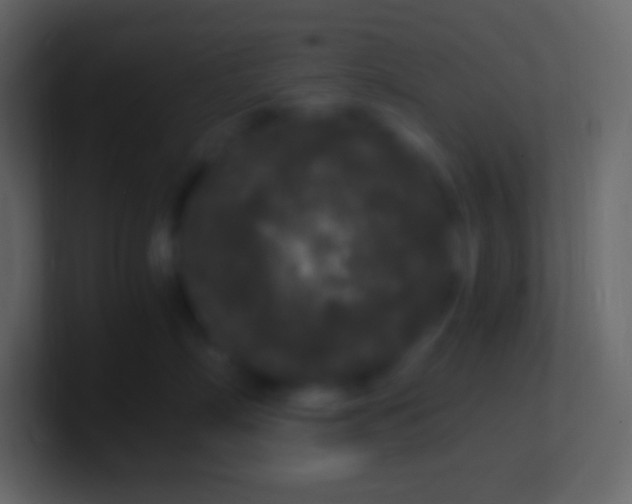 X0000100940718200807081235