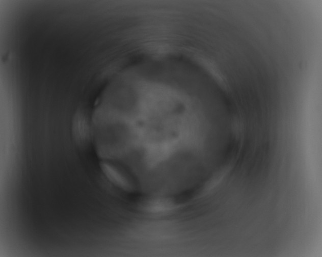 X0000100940719200807081235