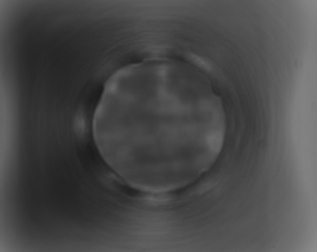 X0000100940720200807081235