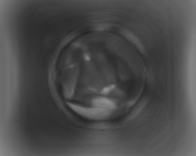 X0000100940721200807081234