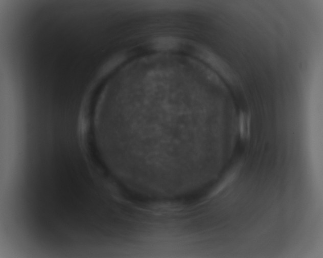 X0000100940723200807081234