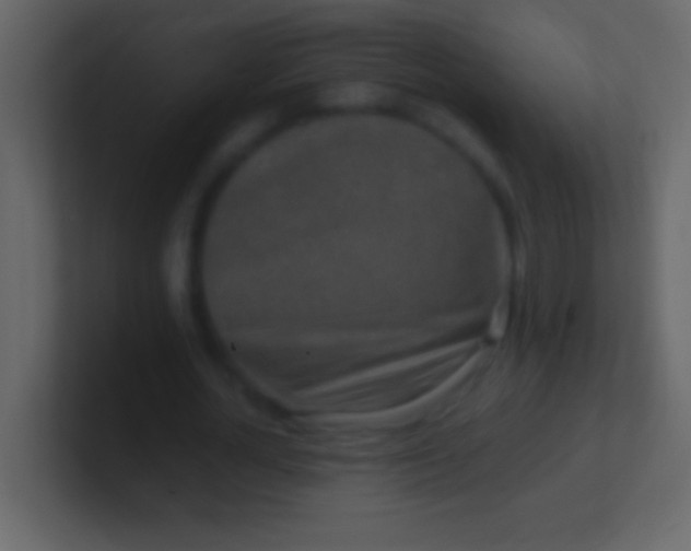 X0000100940724200807081234