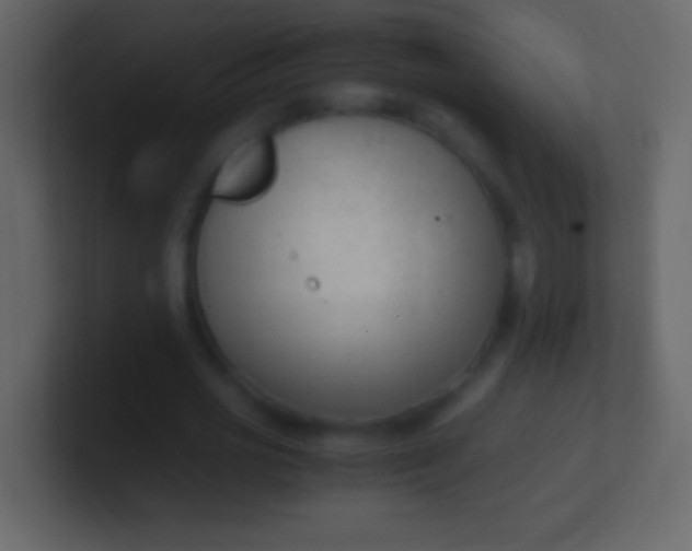 X0000100940725200807081234