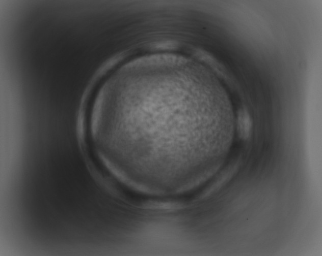 X0000100940726200807081234