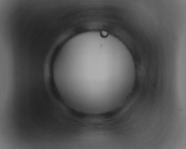 X0000100940727200807081234