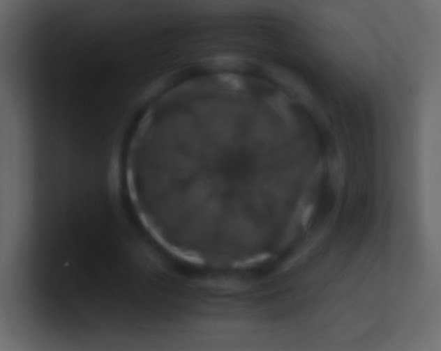 X0000100940729200807081234