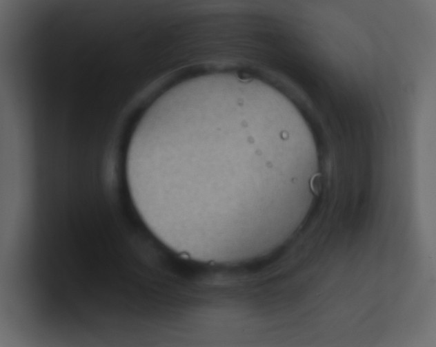 X0000100940732200807081234