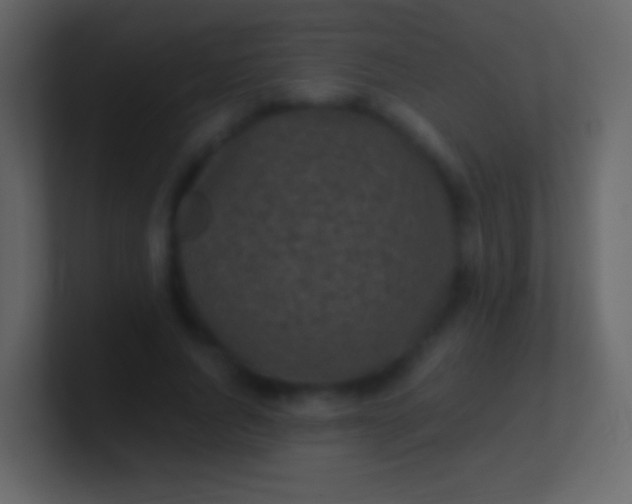 X0000100940736200807081234