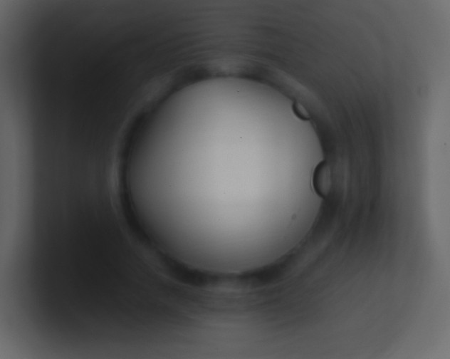 X0000100940738200807081234